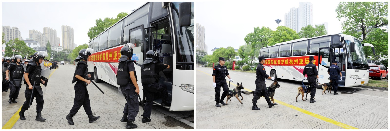 5555555555.jpg 5555555555.jpg